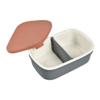 Mineral/Terracotta