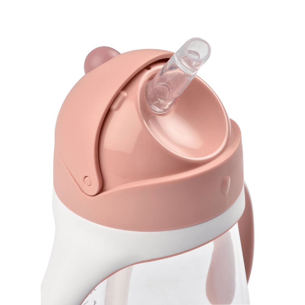Beaba 2-in-1 Baby Sipper Water Bottle, Anti Spill Sippy Cup with Soft Silicone Straw for Toddlers, Kids, 100% Waterproof, Easy to Open, Removable Handles, Tritan and Silicone - 300 ml, 8m+