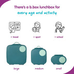 B.Box Leakproof Bento Style Big Lunchbox for Kids with 5 sections - ideal for School Lunch
