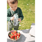 Beaba 2-in-1 Baby Sipper Water Bottle, Anti Spill Sippy Cup with Soft Silicone Straw for Toddlers, Kids, 100% Waterproof, Easy to Open, Removable Handles, Tritan and Silicone - 300 ml, 8m+