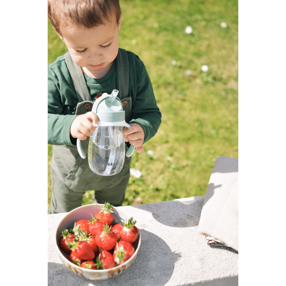 Beaba 2-in-1 Baby Sipper Water Bottle, Anti Spill Sippy Cup with Soft Silicone Straw for Toddlers, Kids, 100% Waterproof, Easy to Open, Removable Handles, Tritan and Silicone - 300 ml, 8m+