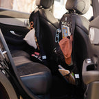 Back Seat Organizer