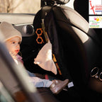 Back Seat Organizer
