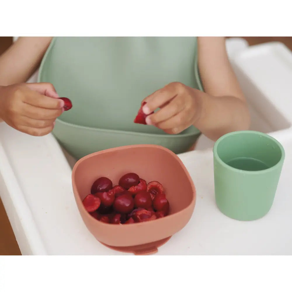 Beaba Silicone Waterproof Baby Feeding Bib with Food Catcher Pocket, BPA-Free, Easy to Clean, 4M+