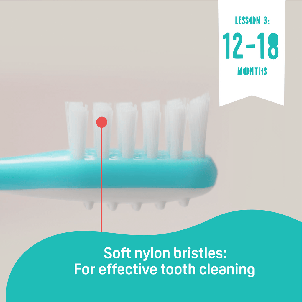 Training Toothbrush Lesson 3 (EN)