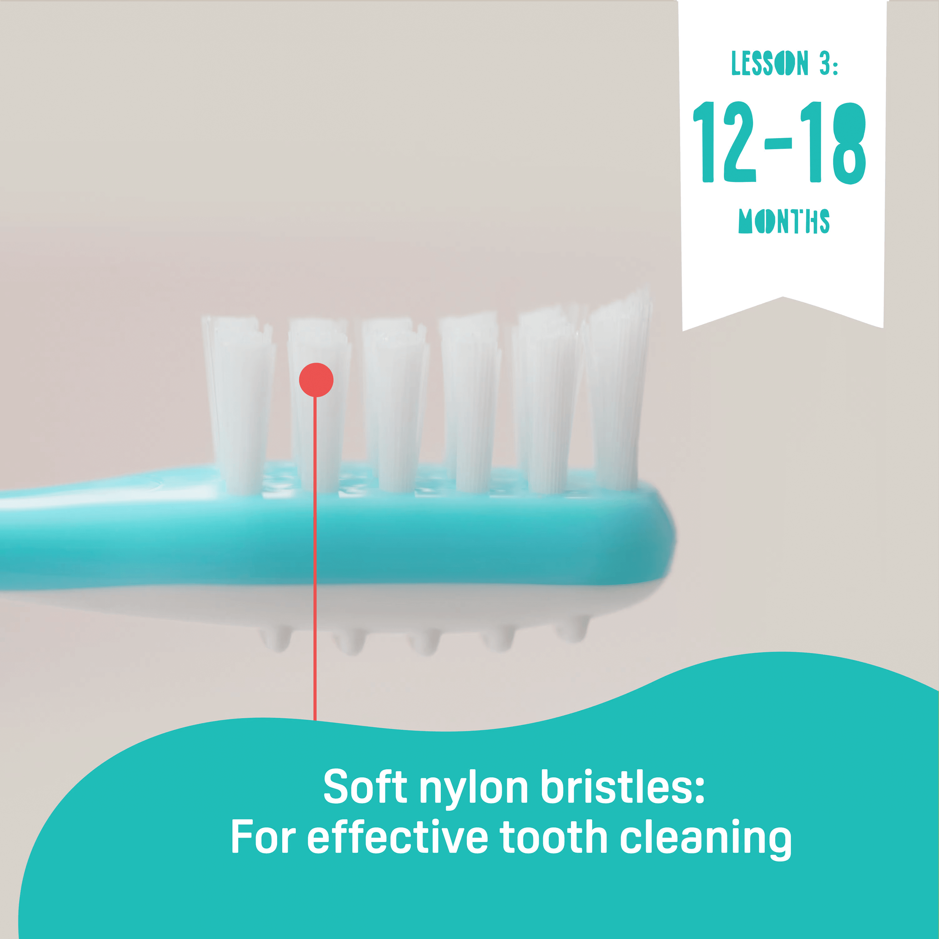Training Toothbrush Lesson 3 (EN)