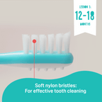 Training Toothbrush Lesson 123 Set