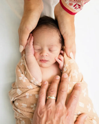 Crane Baby Muslin Swaddle Set of 2 - Ezra Animal & Copper Dash