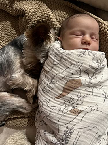 Crane Baby Single Swaddle Wrap - Ezra Animal