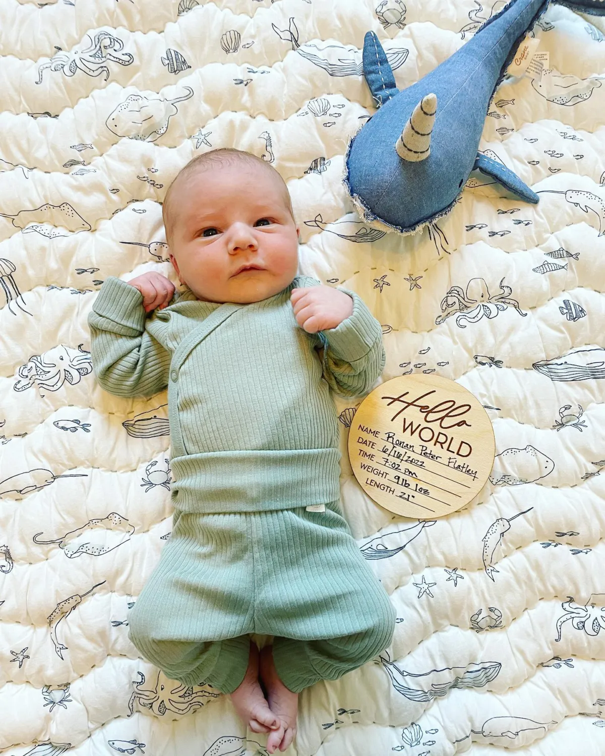Crane Baby Plush Toy - Caspian Narwhal