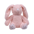 Toy with Blanket Gift Set - Bunny