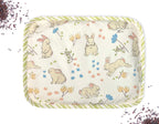 Abracadabra Rai Pillow Bunny Garden