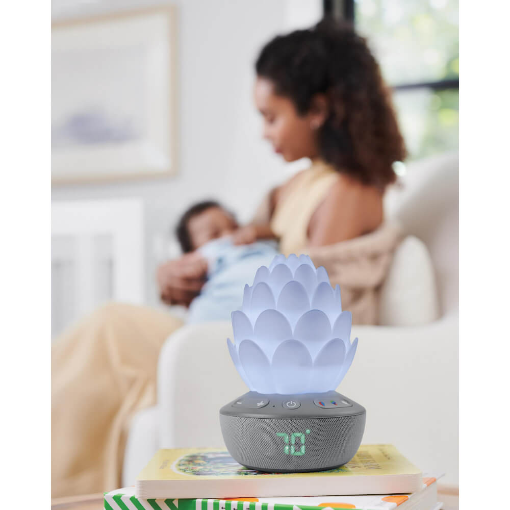 Skip Hop Terra Cry-Activated Soother