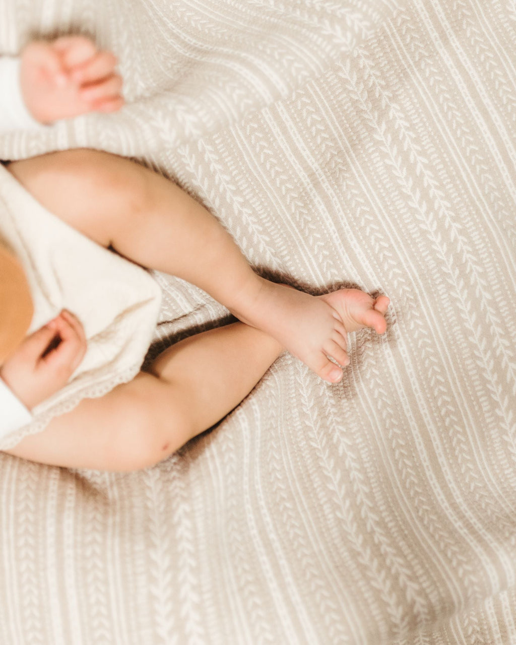 Crane Baby Jacquard Blanket Willow Collection
