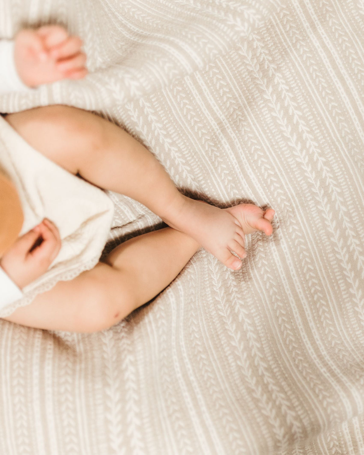 Crane Baby Jacquard Blanket Willow Collection