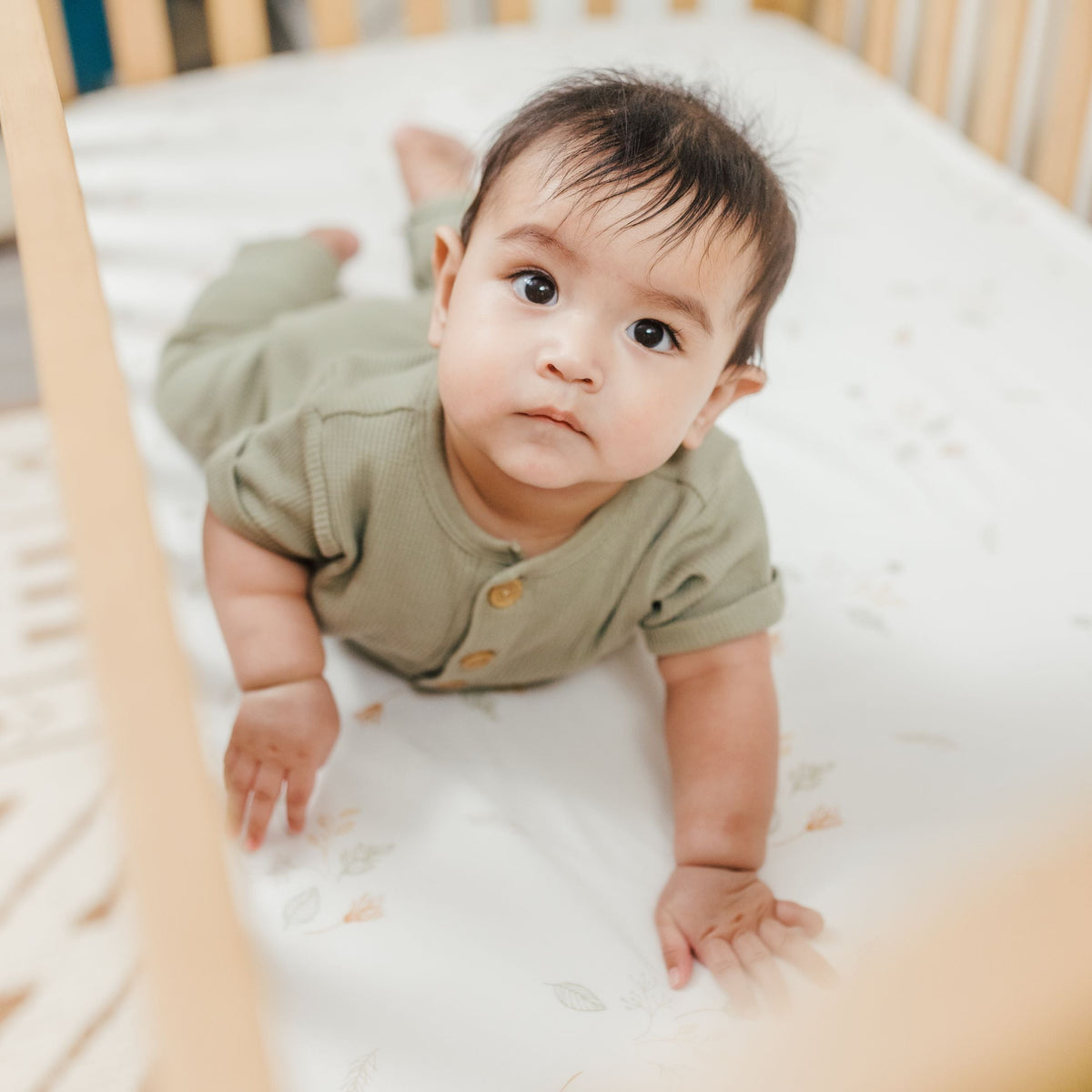 Crane Baby Crib Sheet - Willow Dainty Leaf