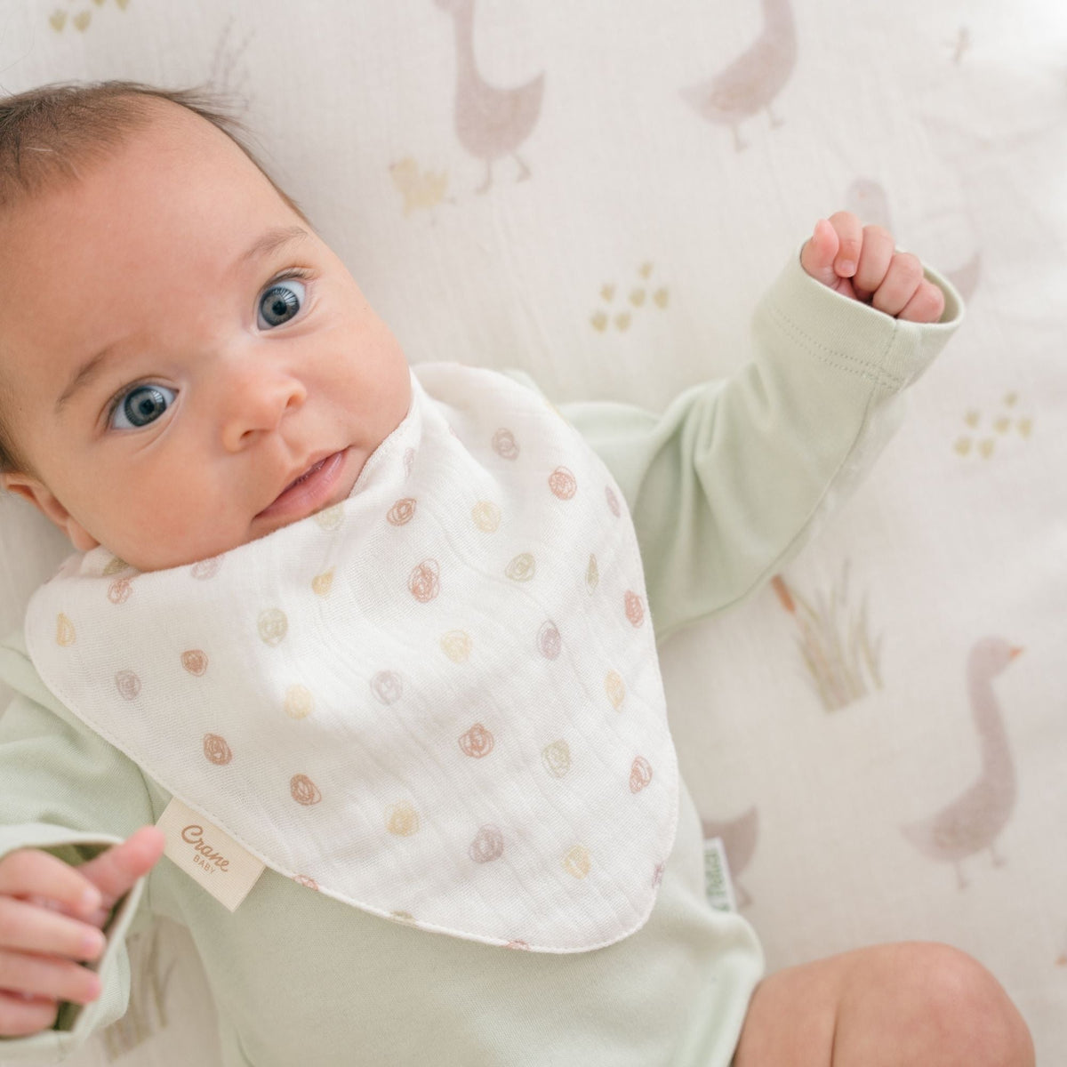 Crane Baby Bandana Bib Set - Charlie Goose
