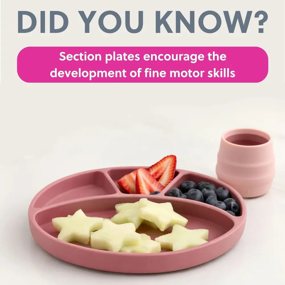 BiBaDo Silicone Suction Plate for Baby, Divider Plate for Self Baby Feeding