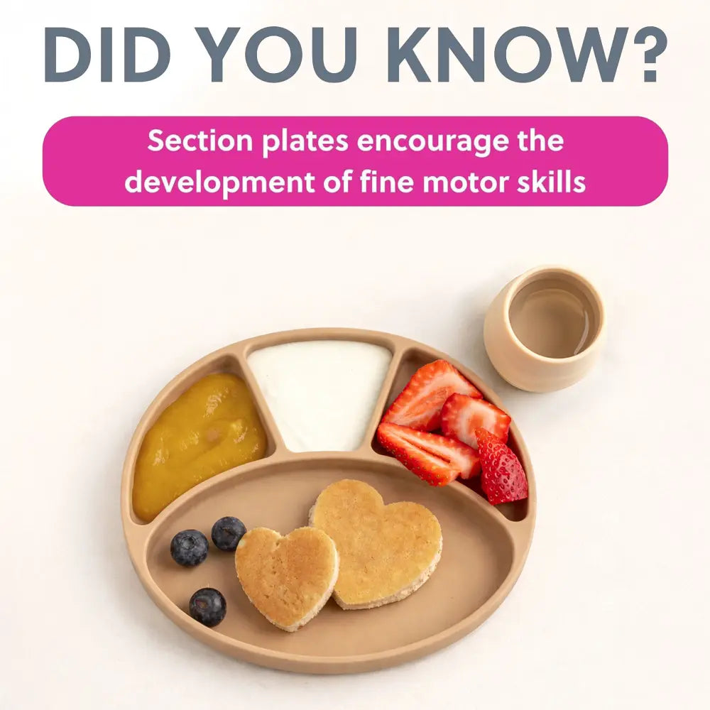 BiBaDo Silicone Suction Plate for Baby, Divider Plate for Self Baby Feeding