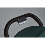 Silver Cross Clic 2 Conifer Stroller - Conifer