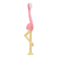 Dr. Brown's Toddler Toothbrush (Flamingo)
