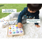 Curious Cub Shape & Colour Matching Board