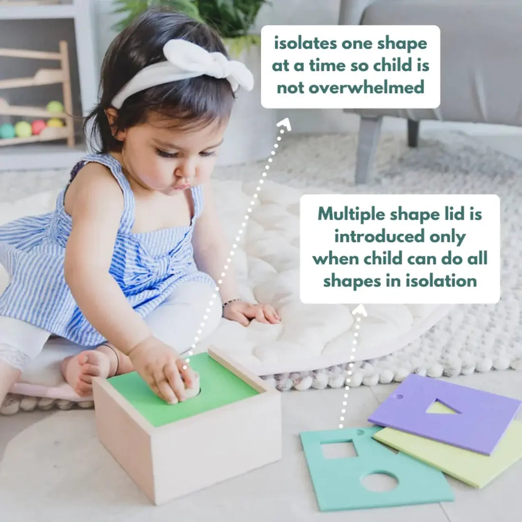 Curious Cub 4-In  1 Shape Sorter
