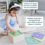 Curious Cub 4-In  1 Shape Sorter