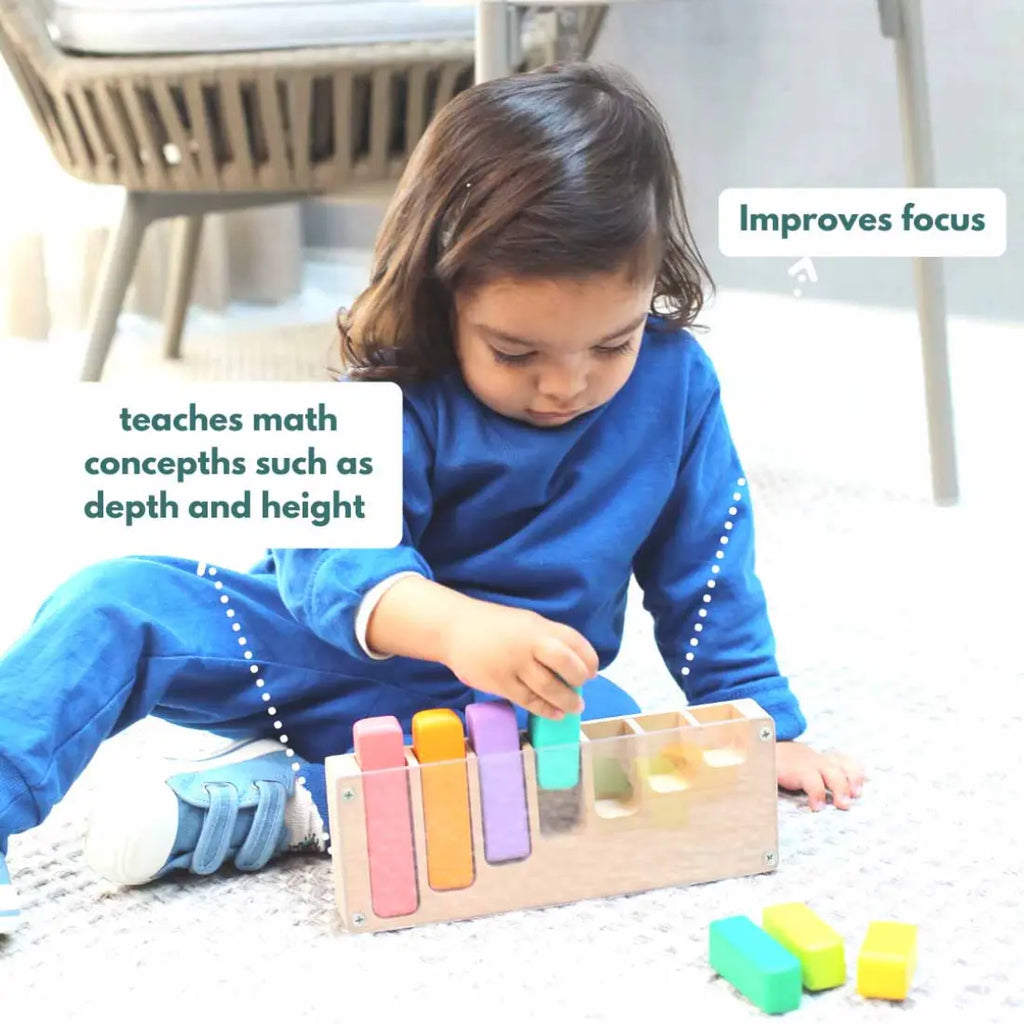 Curious Cub Montessori Box - 21 Months+ (Level 10)