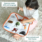 Curious Cub Montessori Box - 21 Months+ (Level 10)
