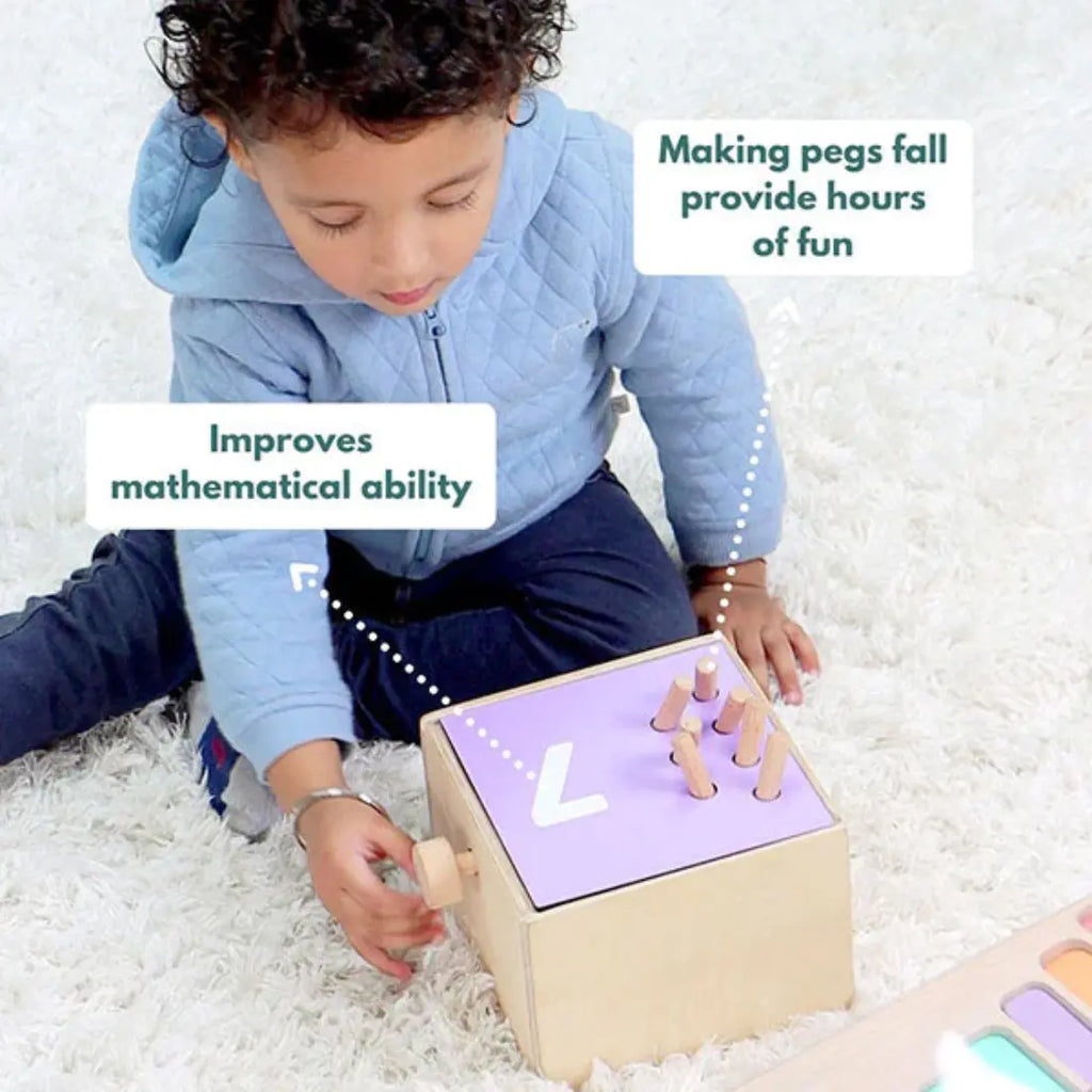 Curious Cub Montessori Box - 24 Months+ (Level 11)