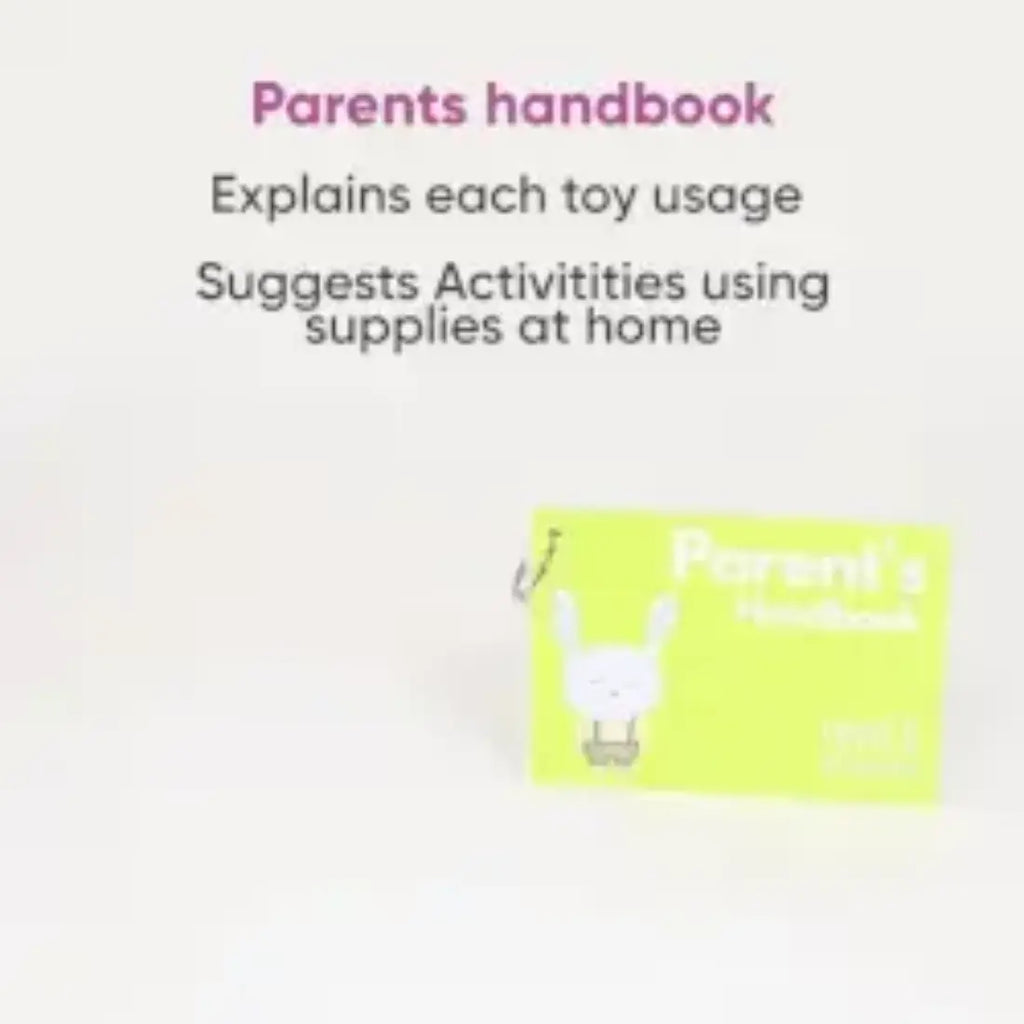 Curious Cub Montessori Box - 19 Months+ (Level 9)