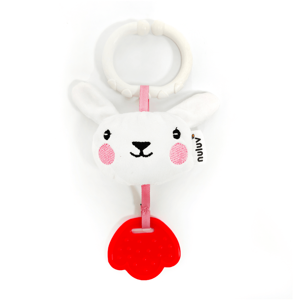 Nuluv Playtime Teether
