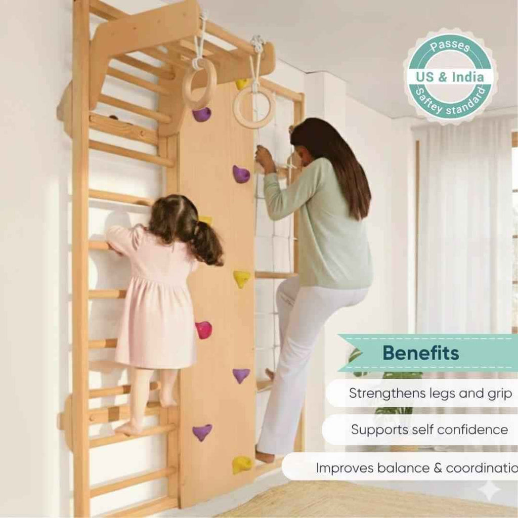 Wall Mounted Jungle Gym