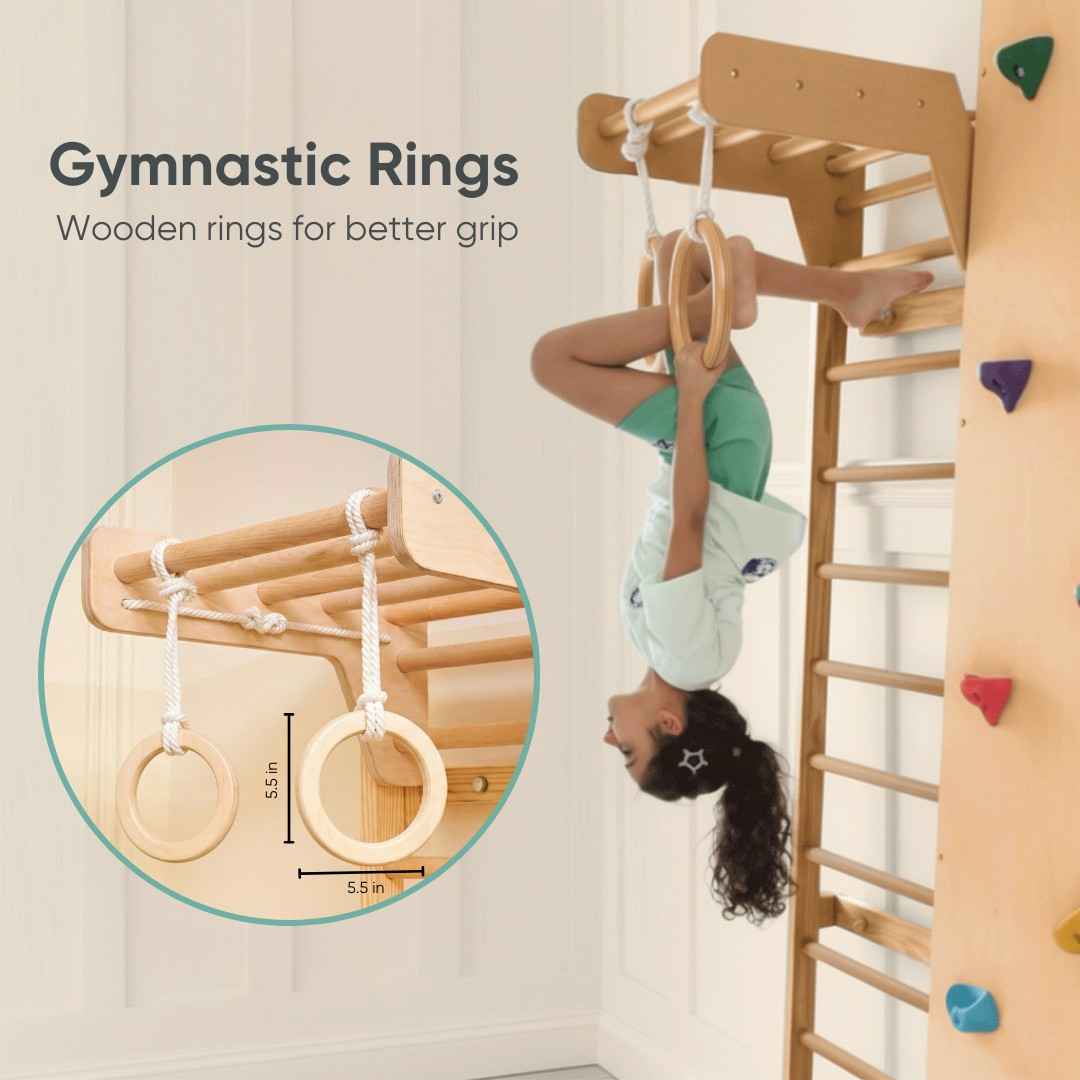 Wall Mounted Jungle Gym