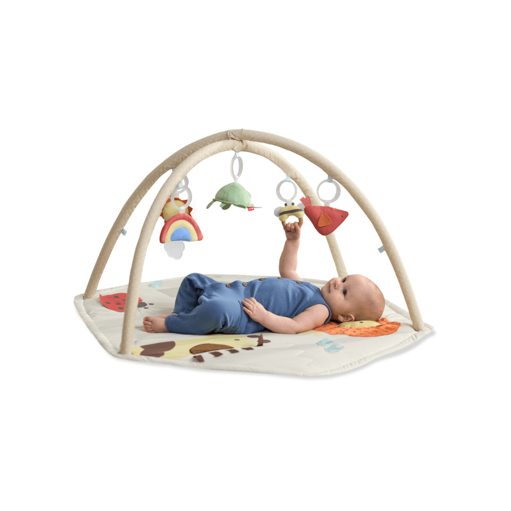 Skip Hop Geometric Wonders Activity Gym