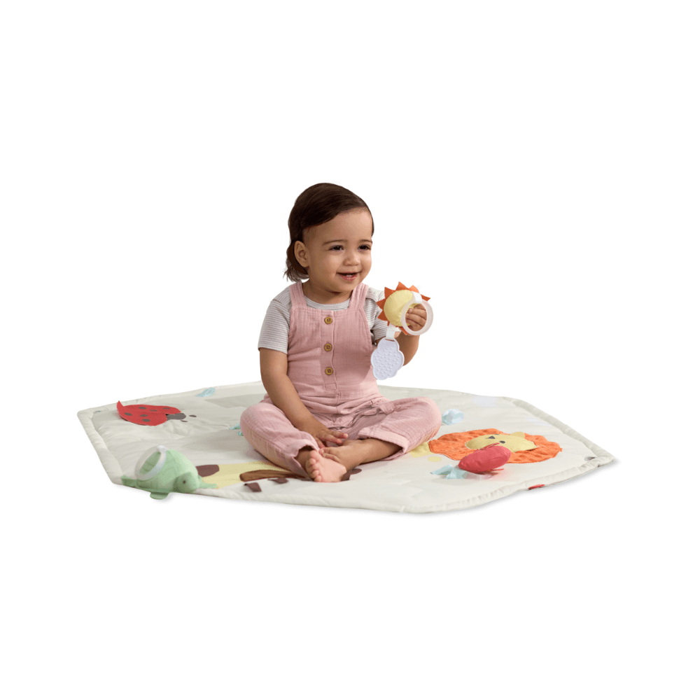 Skip Hop Geometric Wonders Activity Gym