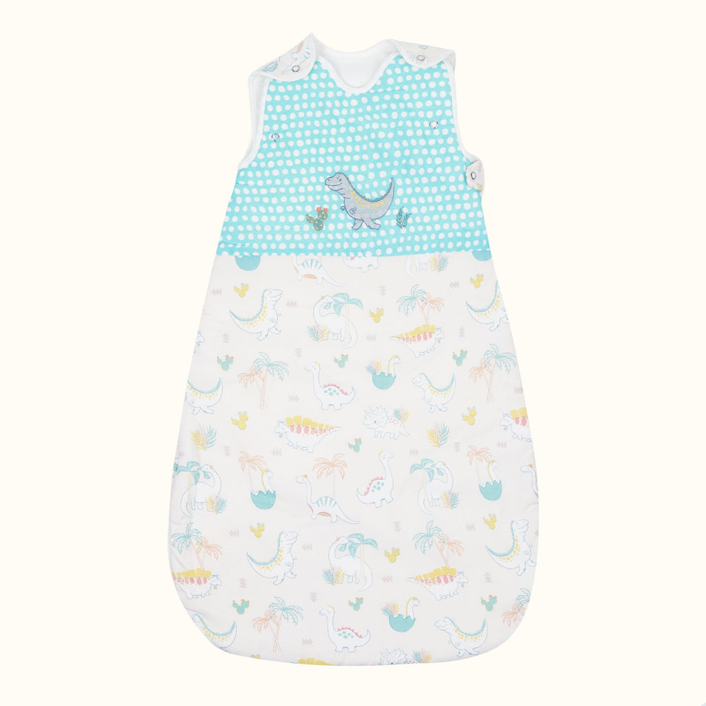 Abracadabra Sleeping Bag - D for Dino