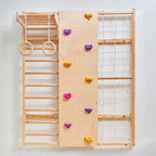 Wall Mounted Jungle Gym