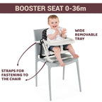 Booster Seat Chairy Sweetdog
