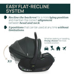 First-Seat Recline 2 Fir Tree